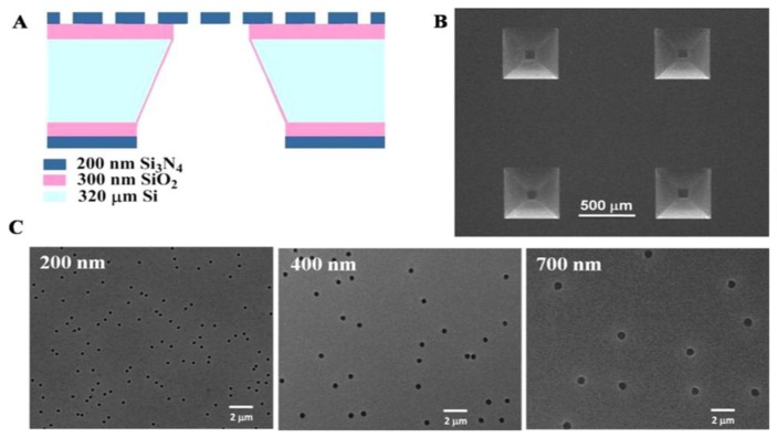 Figure 15