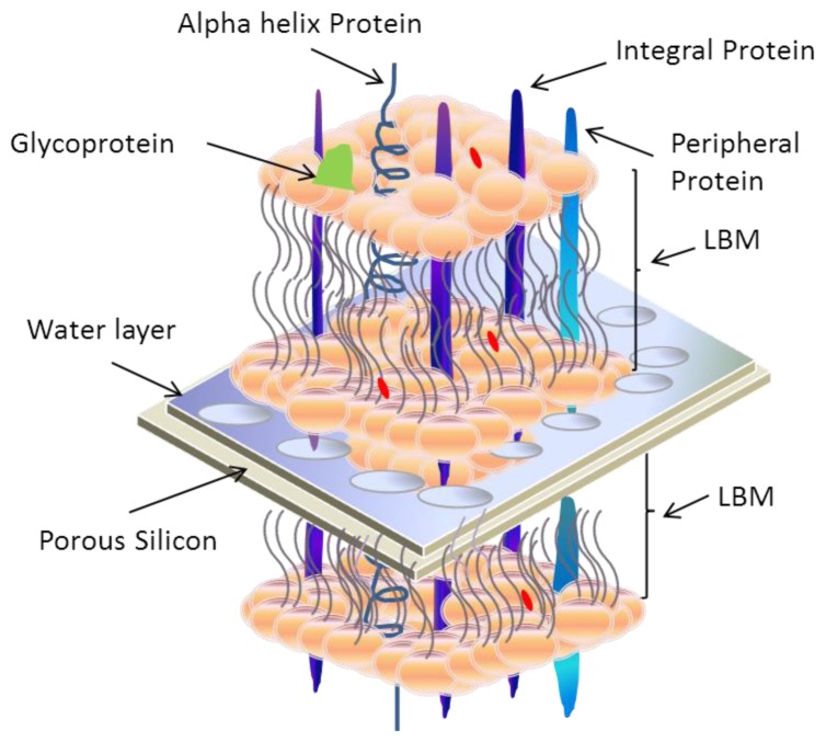 Figure 20