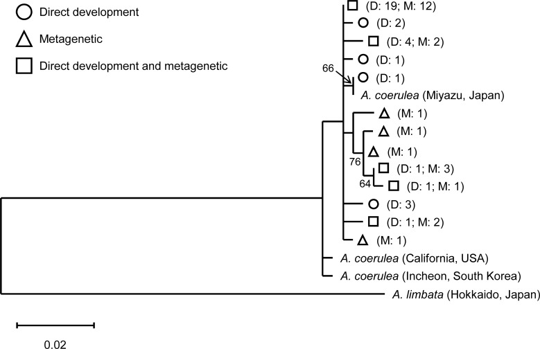 Fig 10