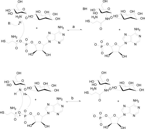 Scheme 4