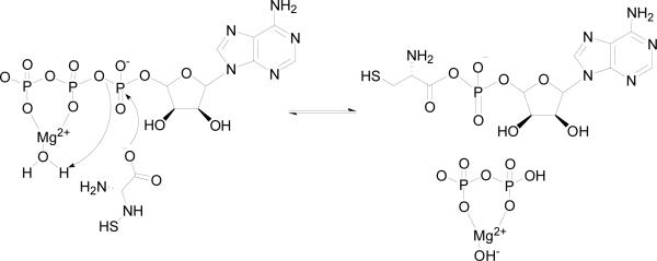 Scheme 3