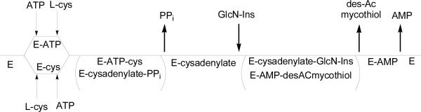 Scheme 2