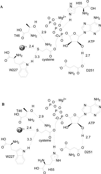 Scheme 5