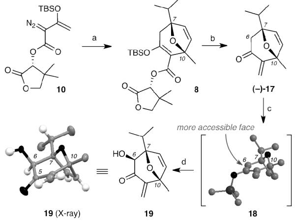 Scheme 4