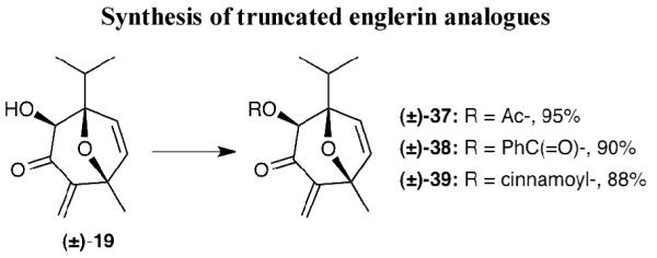 Scheme 8