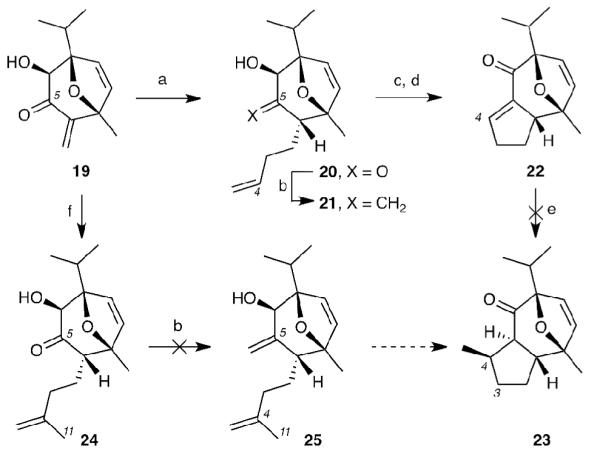 Scheme 5