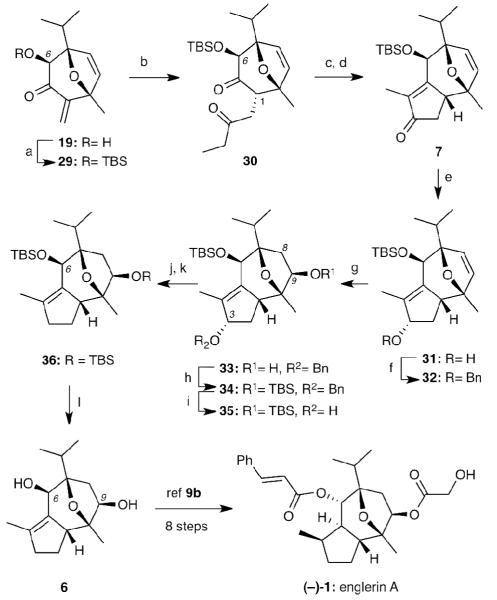 Scheme 7