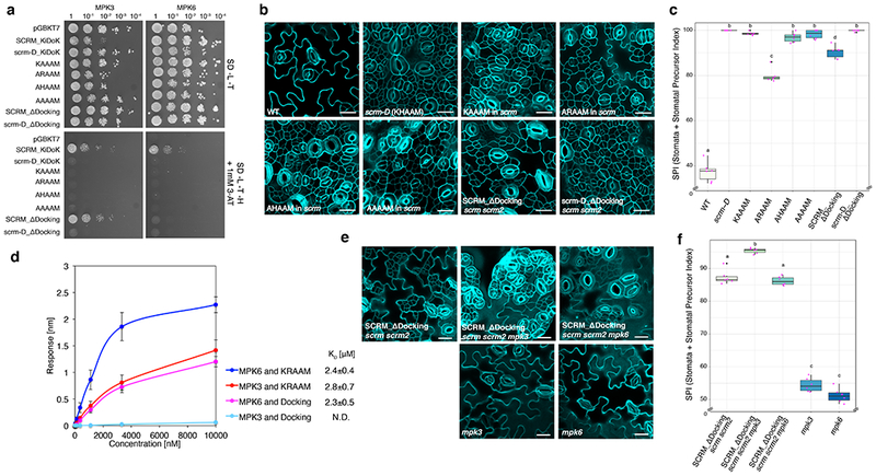 Fig. 3: