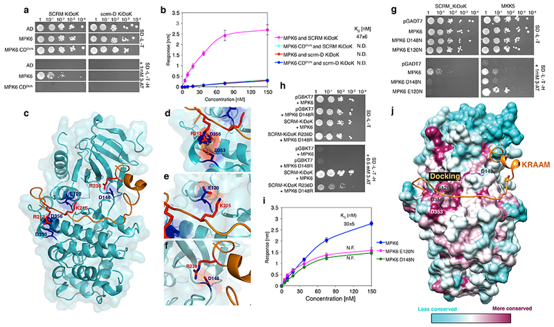 Fig. 4: