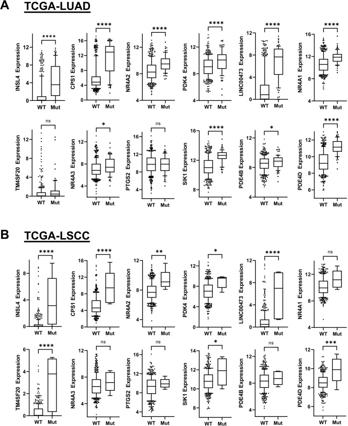 Figure 4—figure supplement 3.