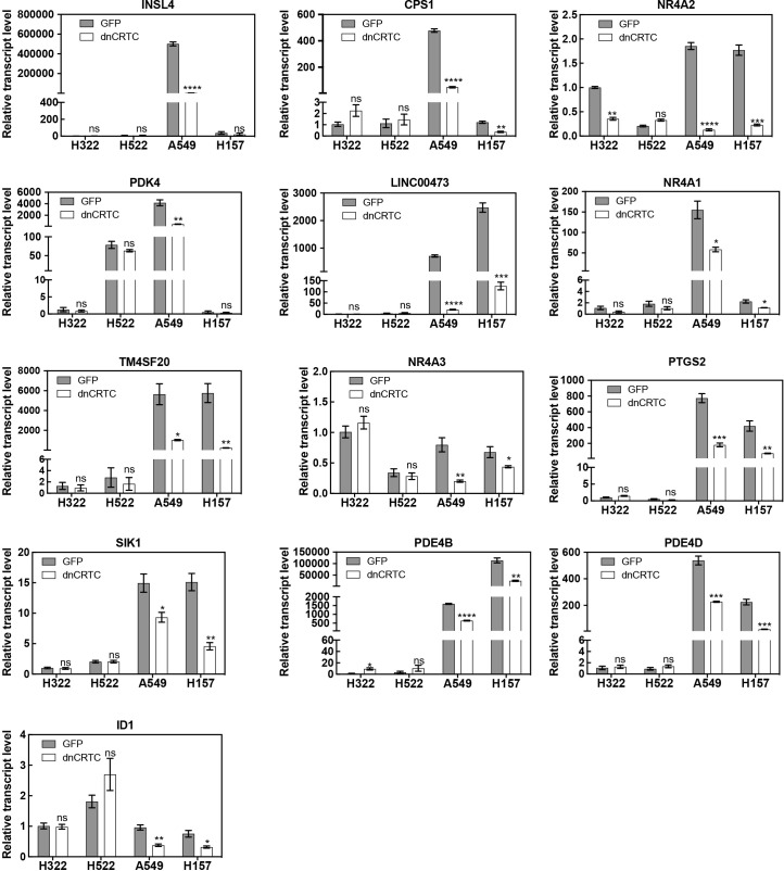 Figure 4—figure supplement 1.