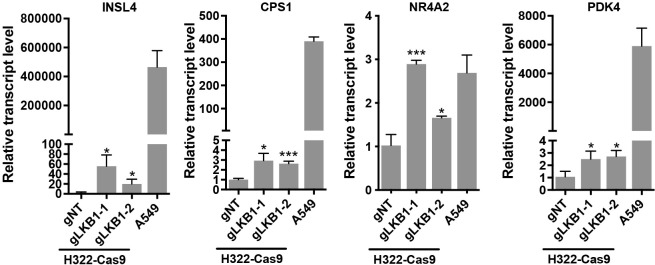 Figure 4—figure supplement 2.