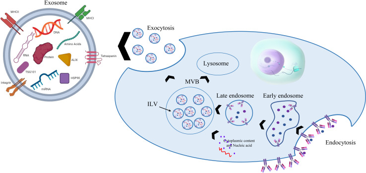 Figure 4