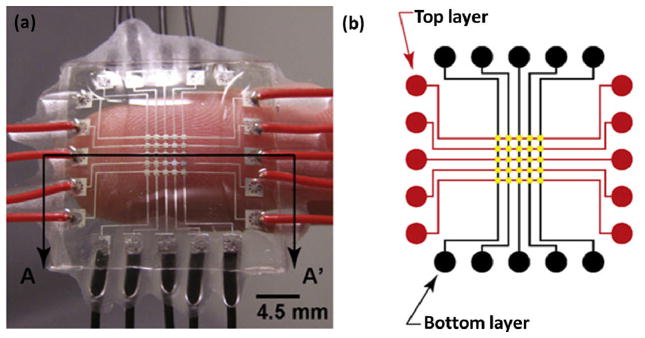 Fig. 3