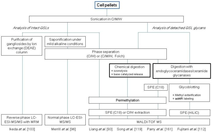 Scheme 3