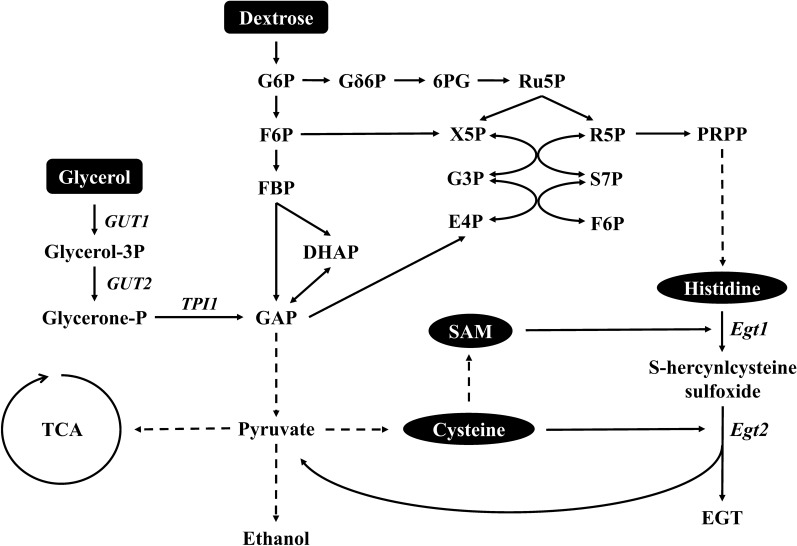 Fig. 6