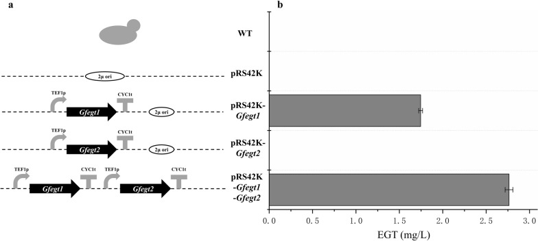 Fig. 2