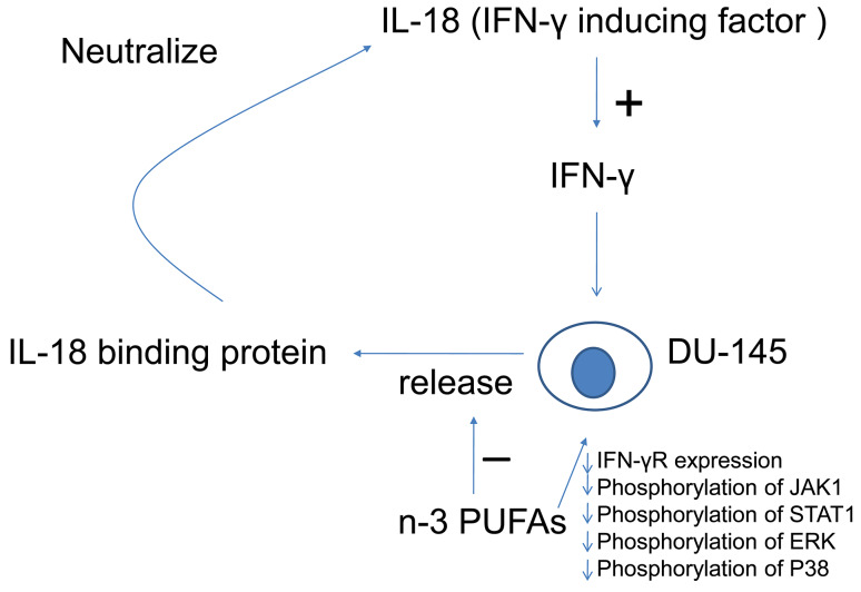 Fig. 6