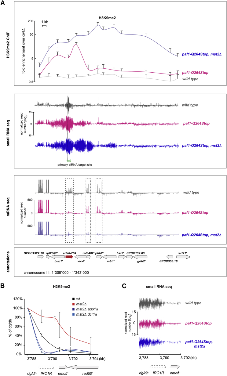 Figure 2