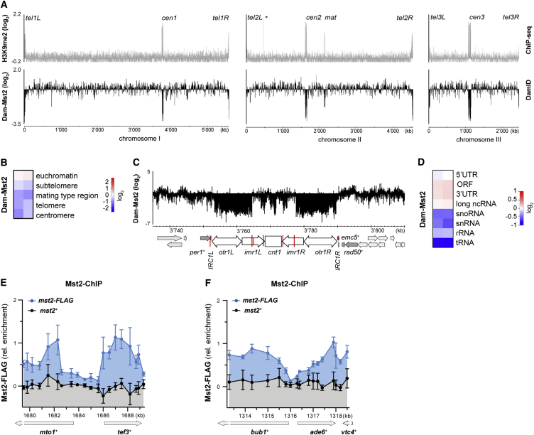 Figure 3