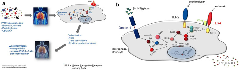 Fig. 1