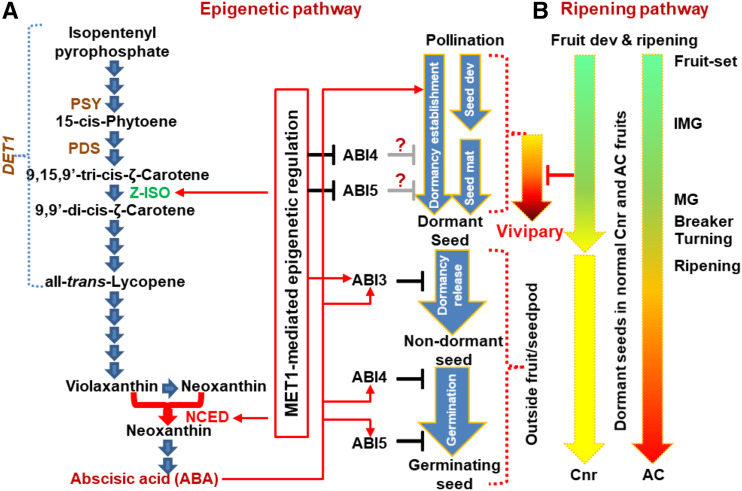 Figure 9.