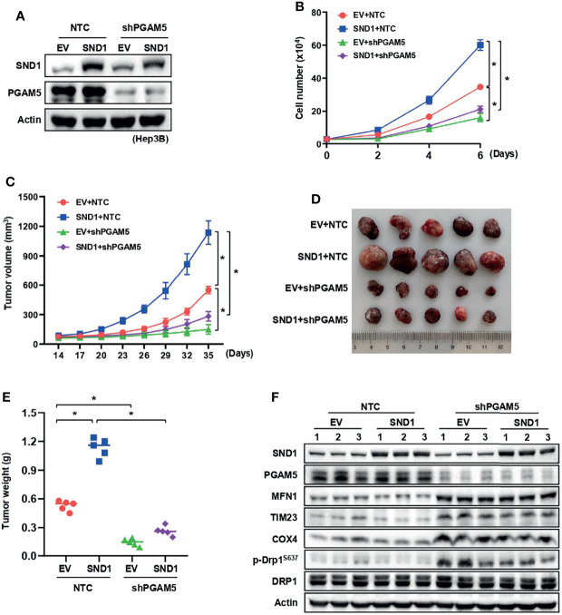 Figure 6