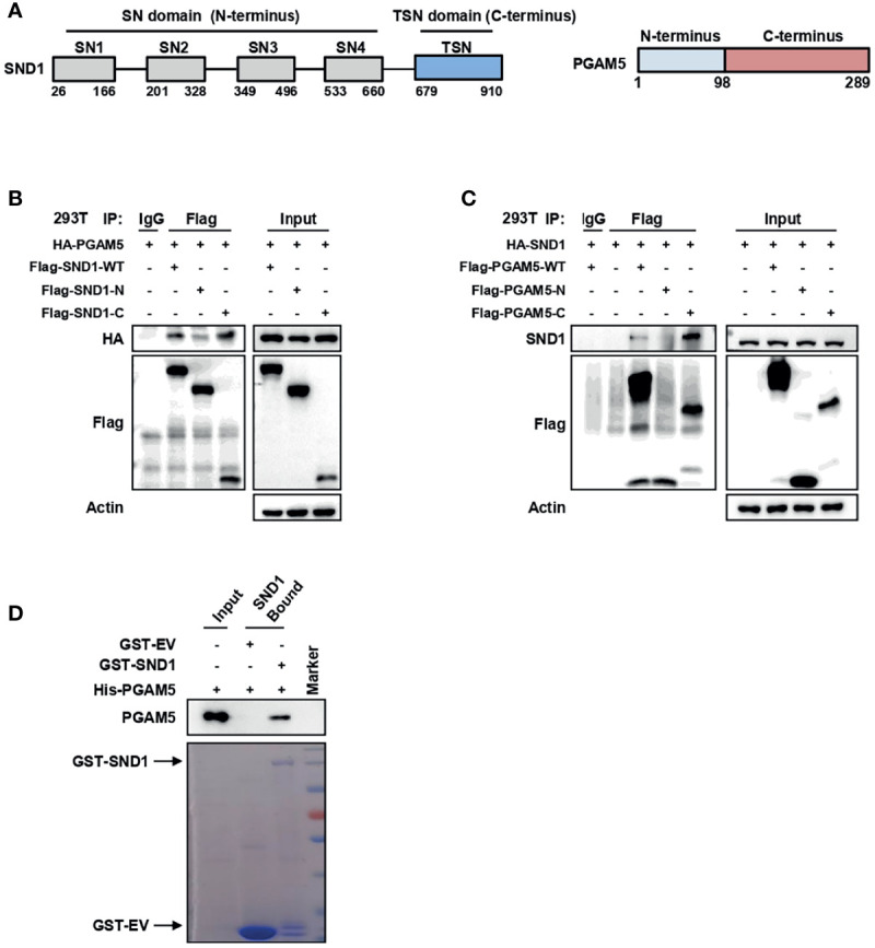 Figure 4