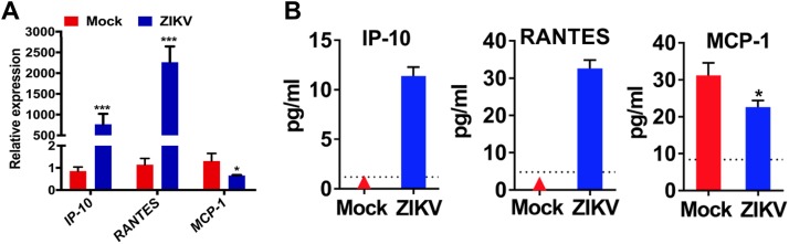 FIG 6