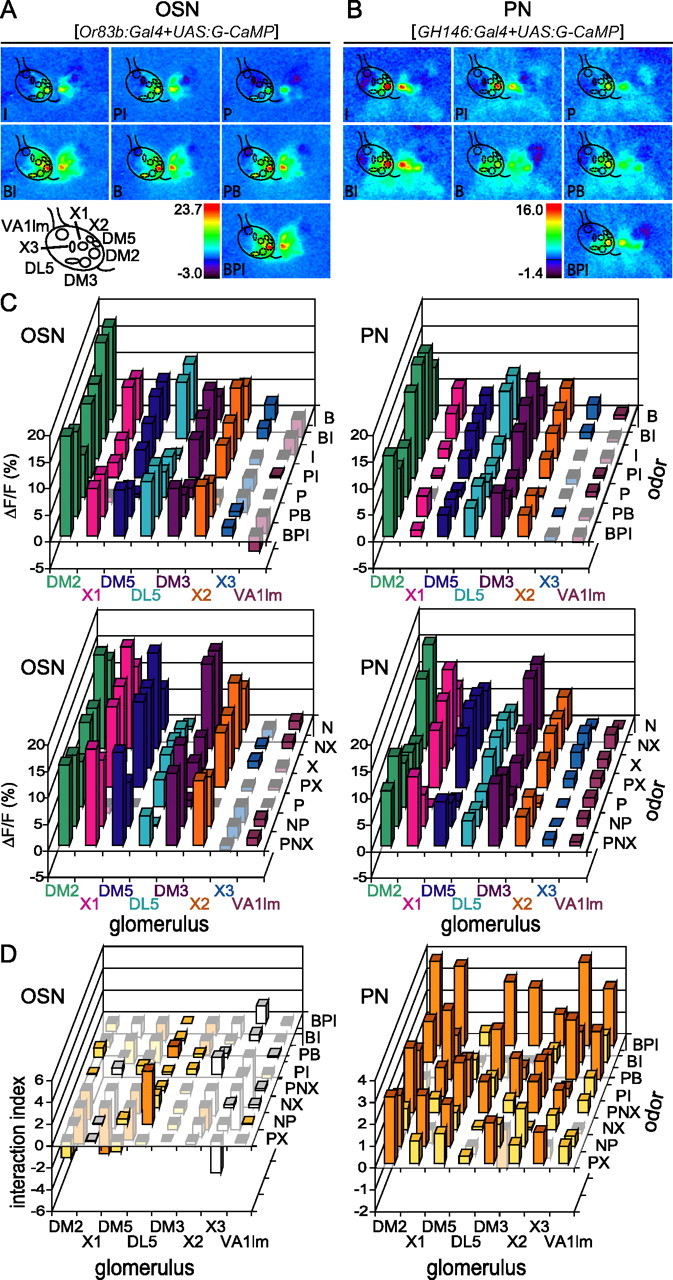 Figure 3.