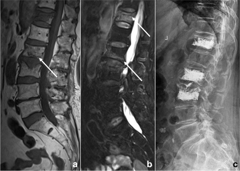 Fig. 8