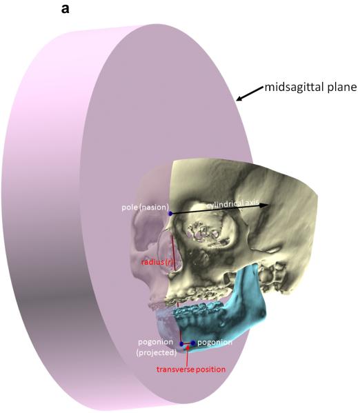 Fig. 4