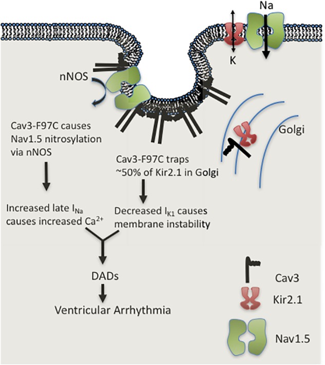 FIGURE 3