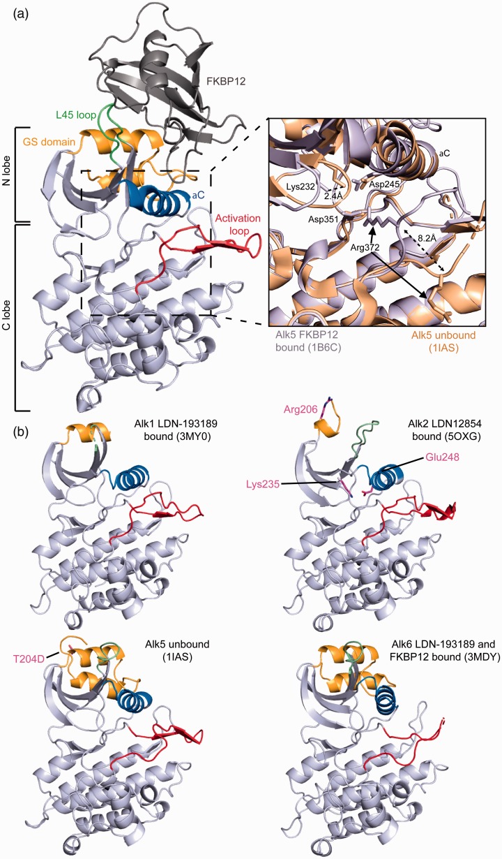 Figure 4.