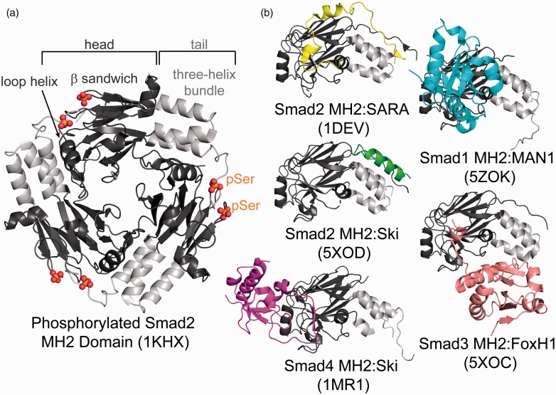 Figure 5.