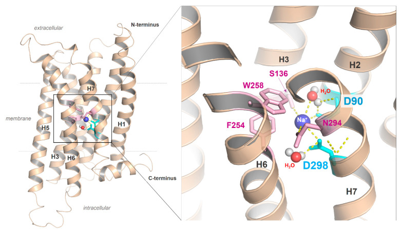 Figure 5