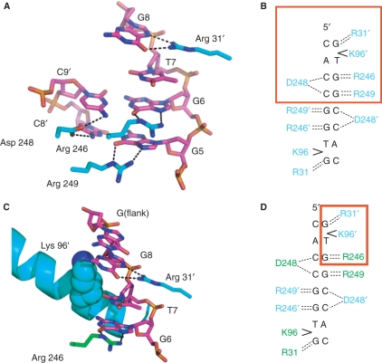 Figure 4.