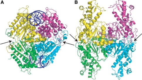 Figure 3.