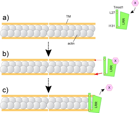 FIGURE 10.