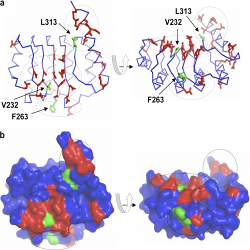 FIGURE 6.