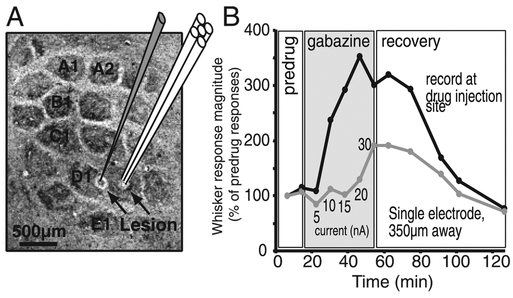 FIG. 7