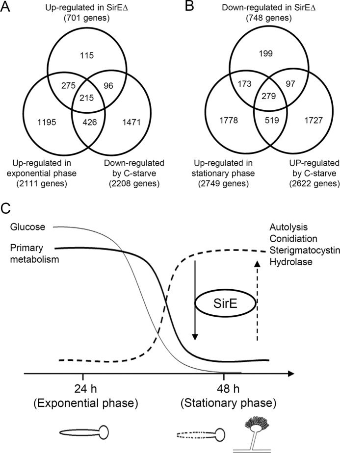 Figure 7.