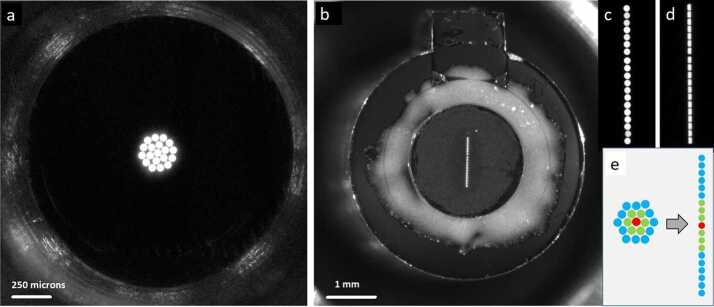 Fig. 9