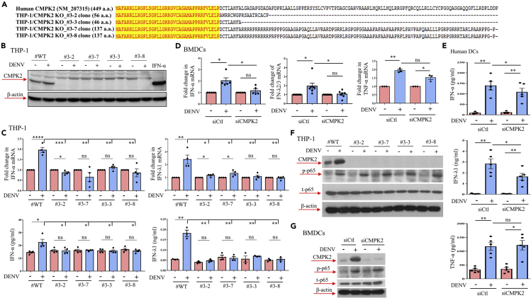 Figure 3