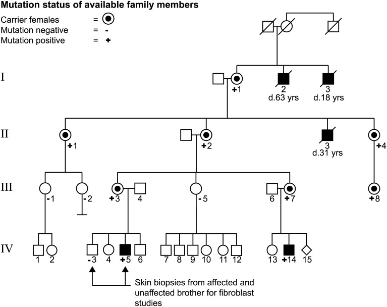 Fig 1