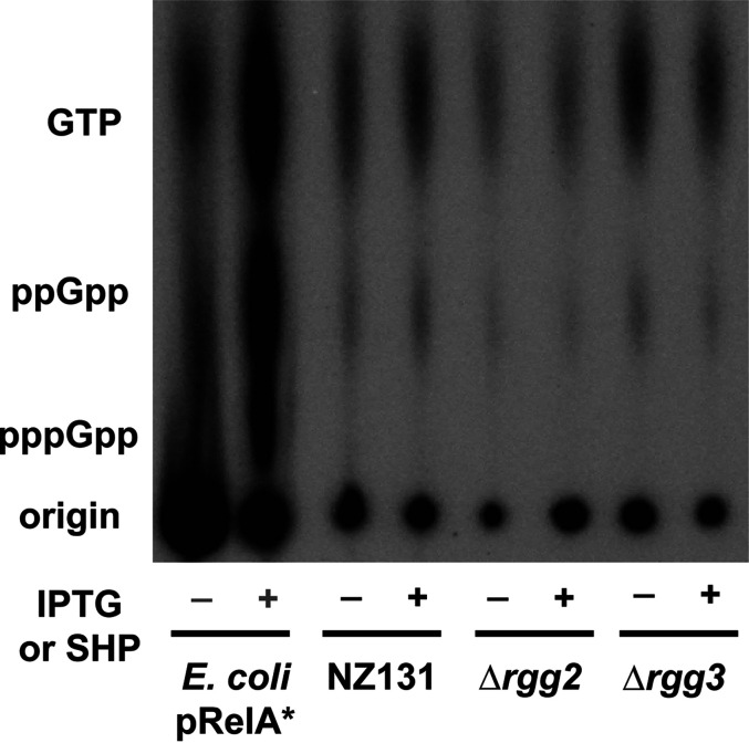 FIG 9