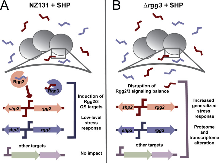 FIG 10