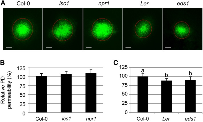 Figure 5.