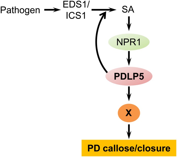 Figure 7.