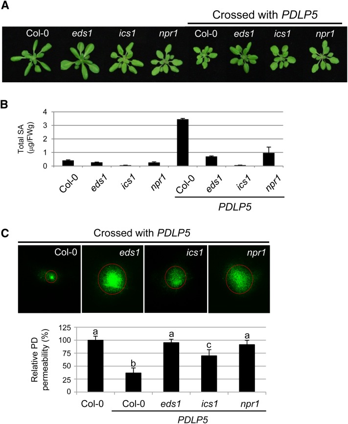 Figure 4.